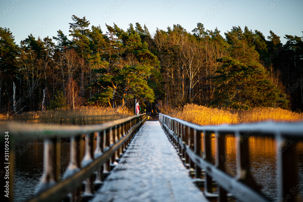 Wooden bridge in the winter season