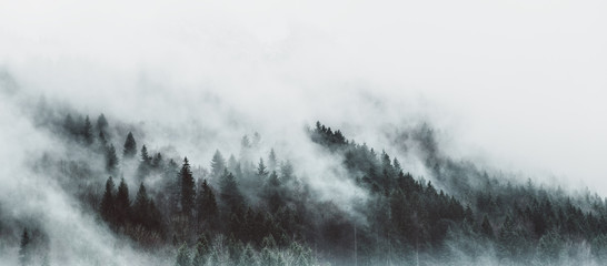 Keuken achterwand Mistige ochtendstond Sferisch bos in dichte mist  © XtravaganT