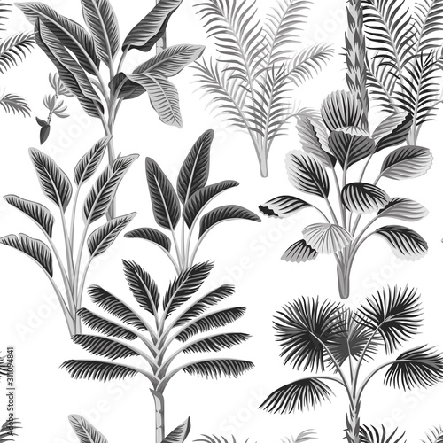 Tropical vintage botanical palm tree, banana tree floral seamless pattern white background. Exotic black and white jungle wallpaper. © good_mood
