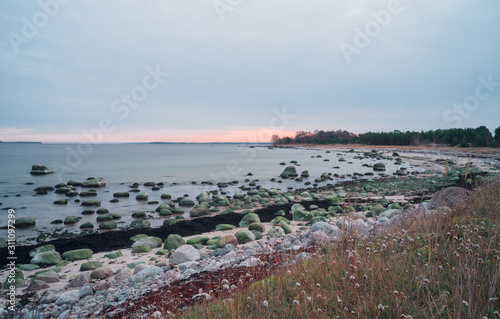 Smooth water around granite boulders in the sea. Rocks are covered with green seaweed. Frosty autumn Nordic morning. Cape Neeme, Estonia, Europe. photo