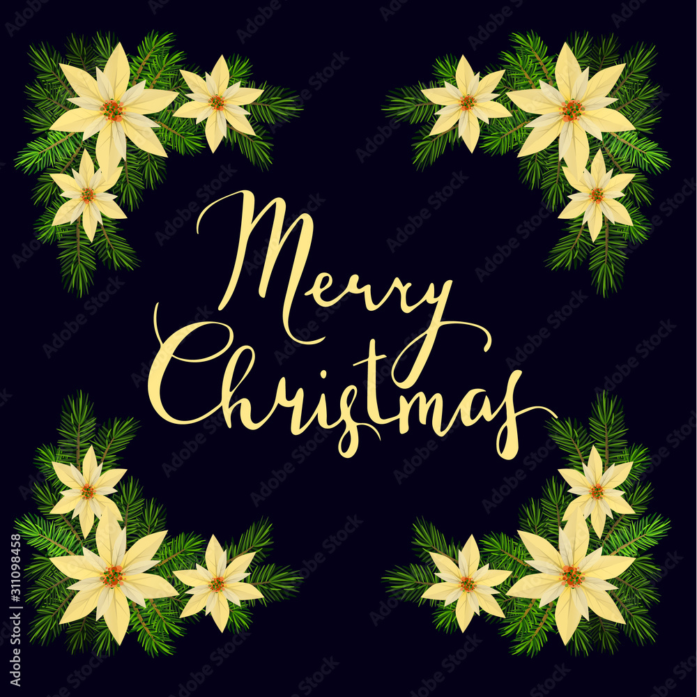 Obraz premium Vector. Christmas decoration: evergreens frame isolated