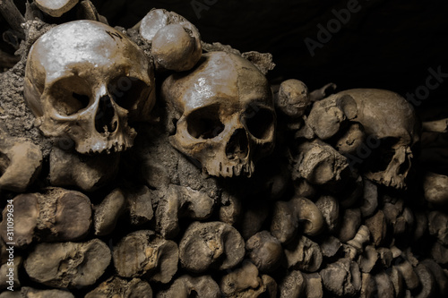 Принти на полотні Catacombs de Paris