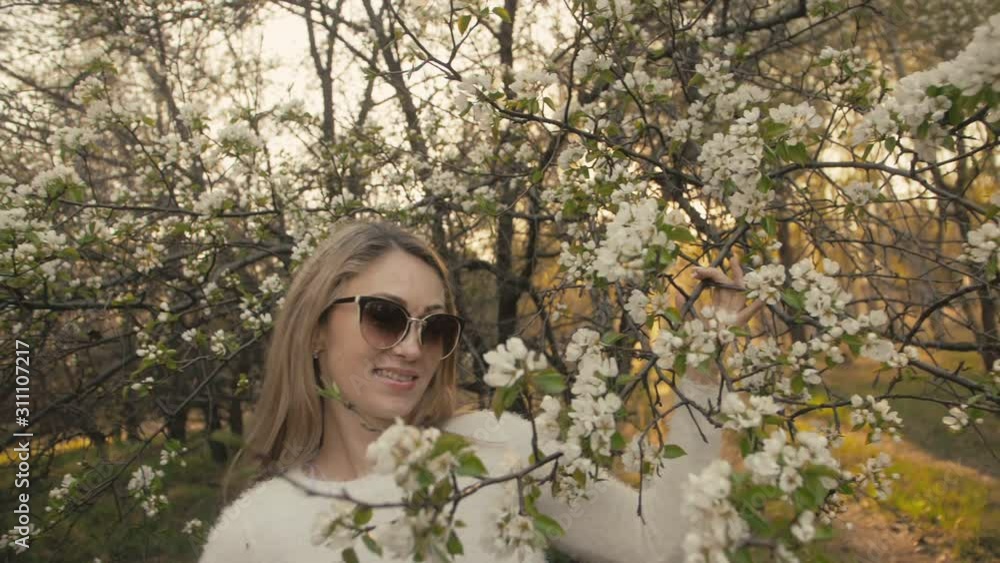 Attractive young woman in sweater, jeans is dance and spinning among blossom apple tree. Sunset, spring orchard and green field. Slow motion. Caucasian one girl, long fluttering hair. Sun glasses. Attractive young woman in sweater, jeans is dance and spinning among blossom apple tree. Sunset, spring orchard and green field. Slow motion. Caucasian one girl, long fluttering hair. Sun glasses.