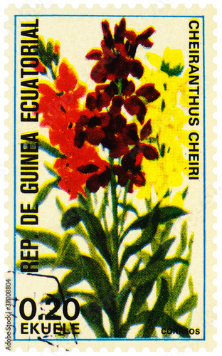 Flowers Cheiranthus cheiri on postage stamp photo