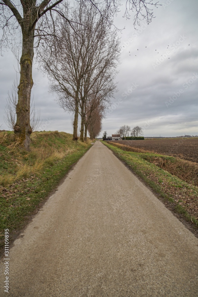 Fototapeta premium road in the countryside