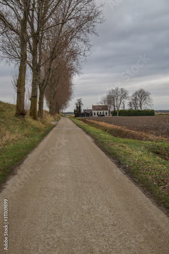 road in the countryside with house and trees in winter © Pixella Media Group