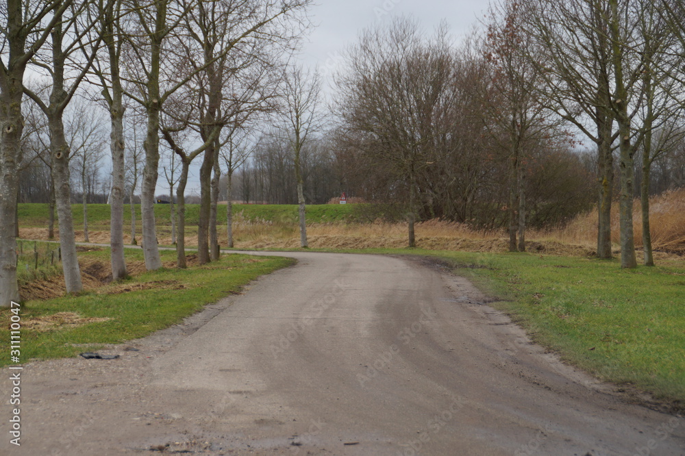 Fototapeta premium rural road in the countryside in winter