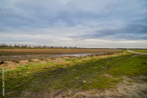 landscape with harvested field and bluw sky in winter