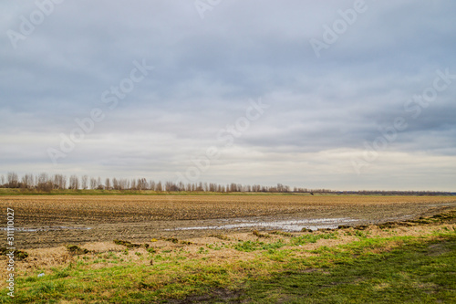 landscape with harvested wheat field and blue sky in winter