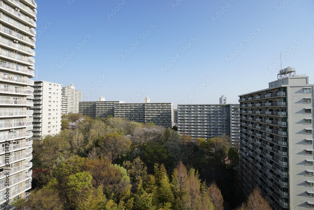 団地　木　春　森　大規模　対比　マンション　青空　樹木　広角