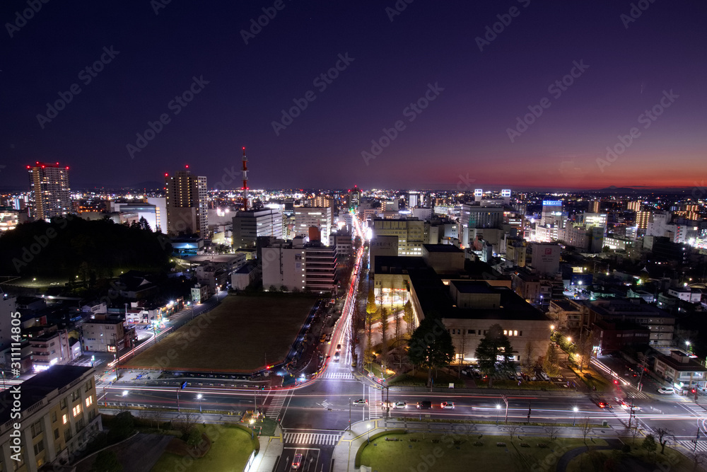 Obraz premium 宇都宮市 栃木県庁から見た街並み