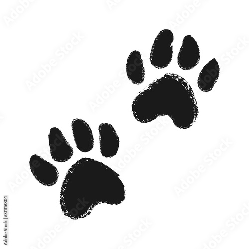 Dog or cat hand drawn paw print.