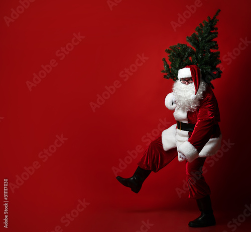 Big-bellied fat Santa Claus carrying a heavy Christmas tree on his shoulder on a red background. New year and merry christmas and happy holidays concept photo