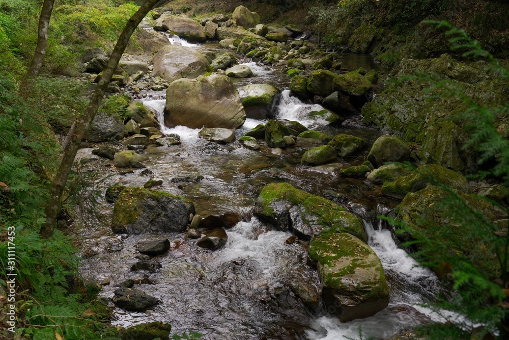 waterfall in forest waterfall in forest