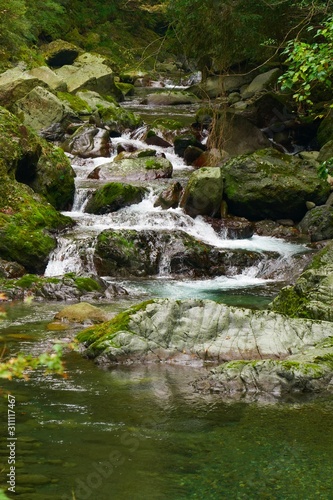 waterfall in forest