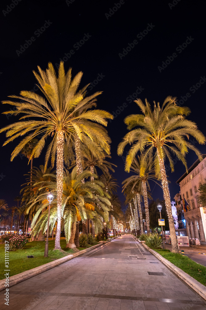 Christmas Celebrations in Palma de Mallorca | Palma en Navidad Mallorca | Spanien Majorca