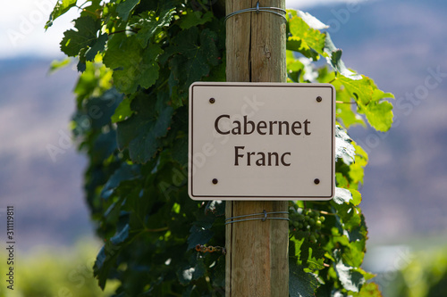 фотографія Cabernet Franc wine grape variety sign on wooden pole selective focus, vineyard