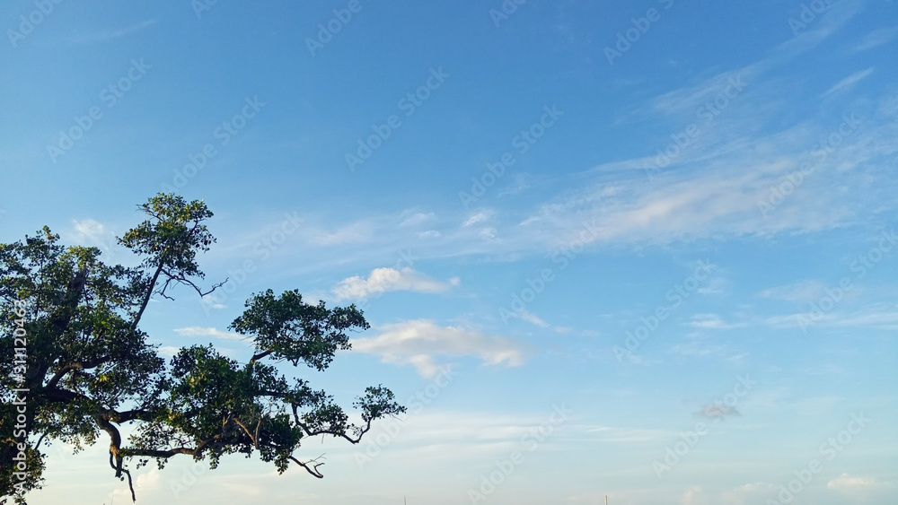 Obraz premium blue lagoon views