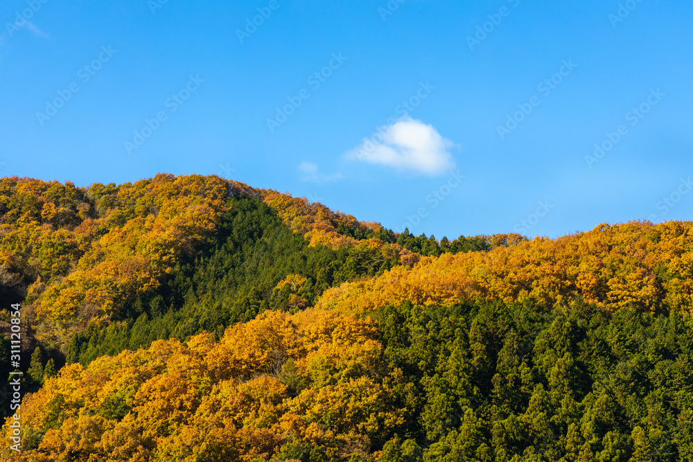 青空と美しく紅葉した山