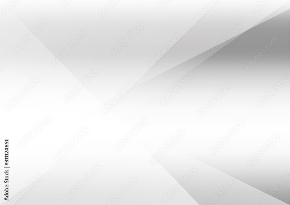 Obraz premium White and grey background Corporate technology modern design Pattern style geometric Abstract modern background used about technology or product presentation backdrop