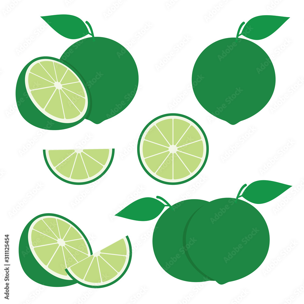 Lime Vector Design Illustration