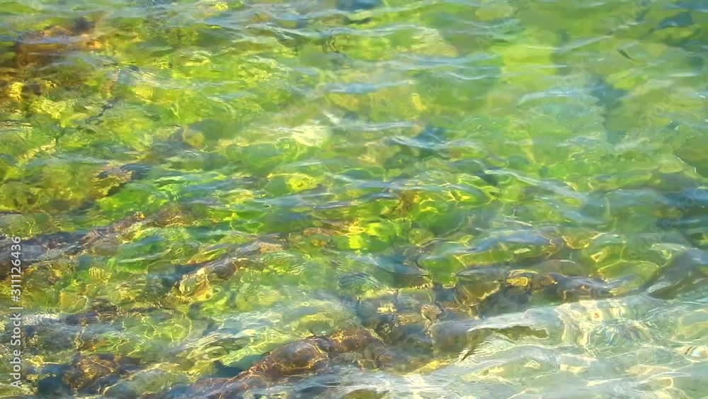 View of reef underwater surface and reflection sunlight View of reef underwater surface and reflection sunlight