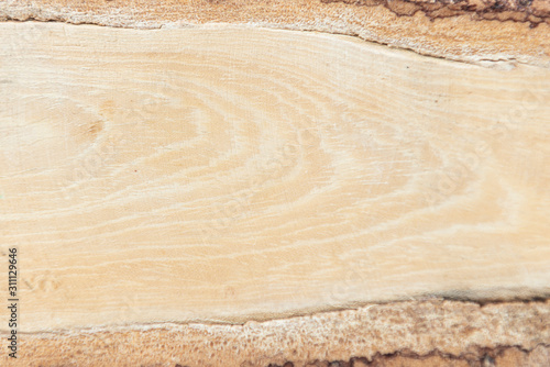 Natural wooden background. Wood texture. Wood texture for design and decoration.