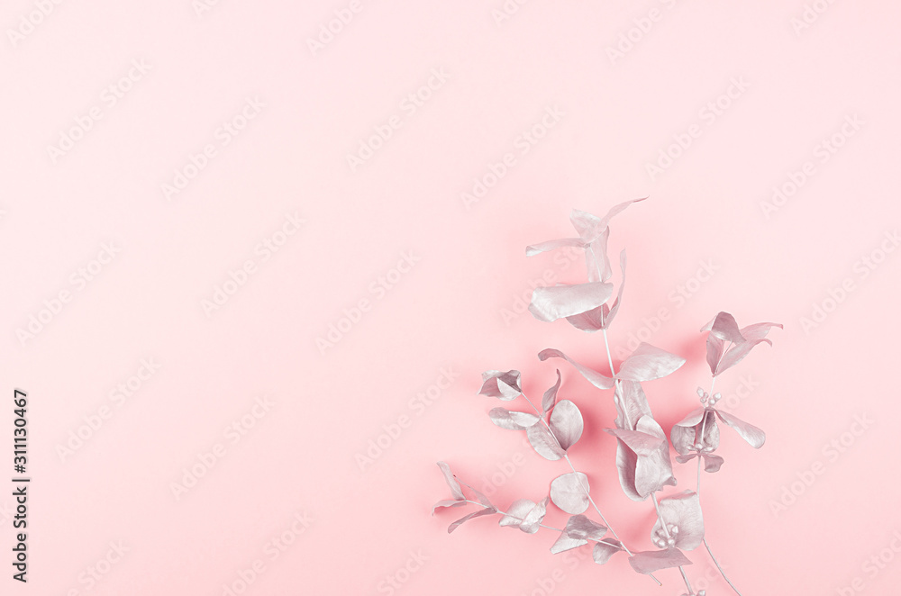 Elegant silver eucalyptus leaves as festive decorative border on soft light pastel pink background, copy space, top view.