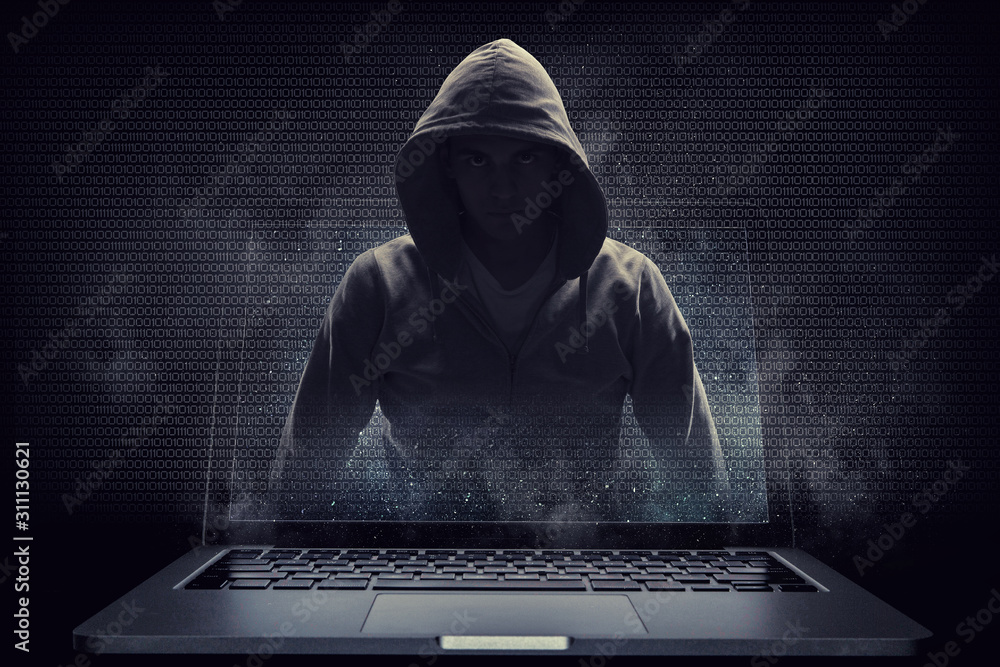 Network security and computer crime. Mixed media Network security and computer crime. Mixed media