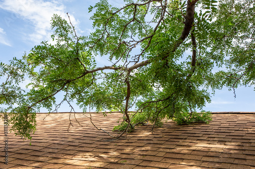 roof damage 