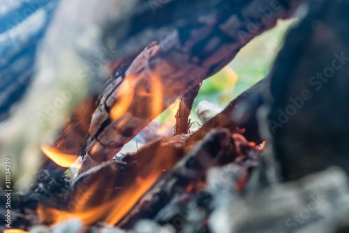 Burnt logs and fire flames close-up. Abstract background © Talulla