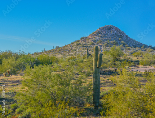 Discovery Trail in the Sonora Desert. Peoria, Maricopa County, Arizona USA