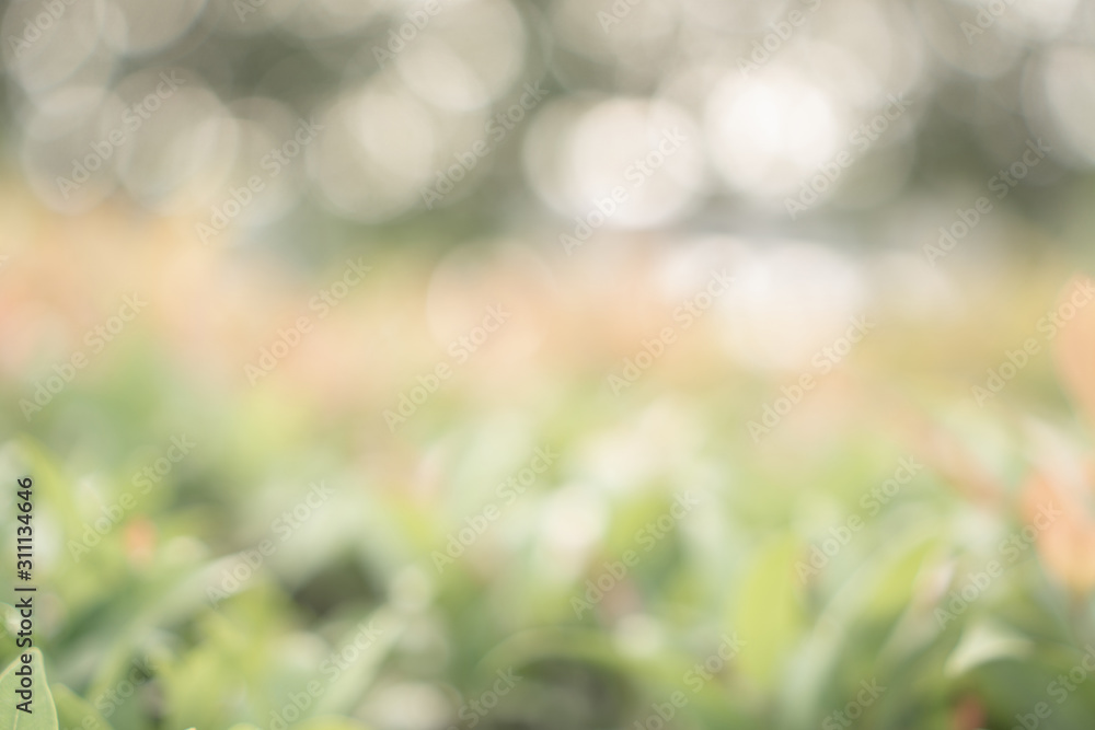 Fototapeta premium Green and red blurry abstract background