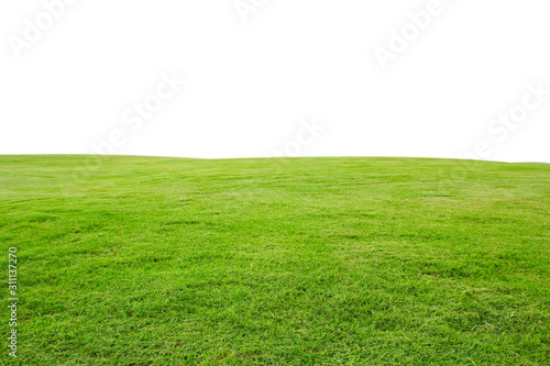 fresh green grass lawn isolated on white background © saranyoo