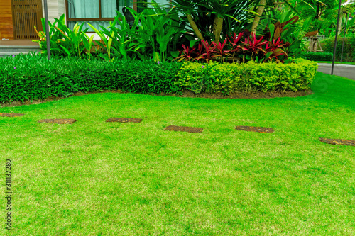 Smooth fresh green grass lawn with random pattern walkway of brown laterite steping stone in a garden of flowering plant, shurb and trees on backyard in front the house