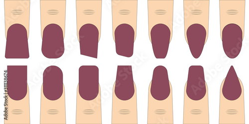 set nail shape vector fashion trends in manicure, fingers with different nail shape sample for manicure salon