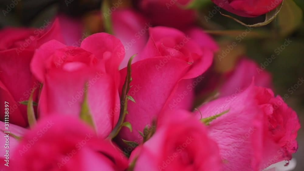 red flowers flower bouquet slow motions red flowers flower bouquet slow motions