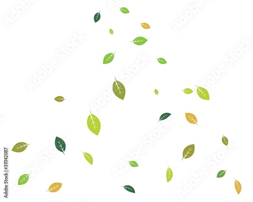 fallen leaves and bowing  wind vector illustration design