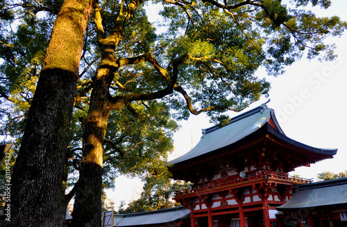 red japanese shinto shrine  photo