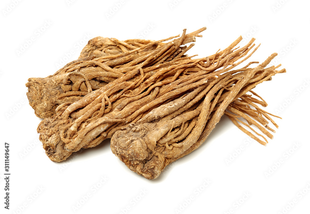 Angelica root used in chinese traditional herbal medicine, over white