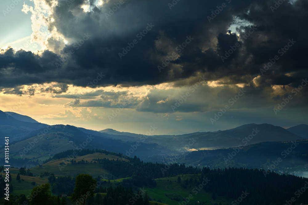 Obraz premium Sunset in carpathian mountains - beautiful summer landscape, spruces on hills, dark cloudy sky and bright sun light, meadow and wildflowers