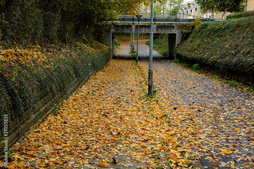 nordic street in autumn