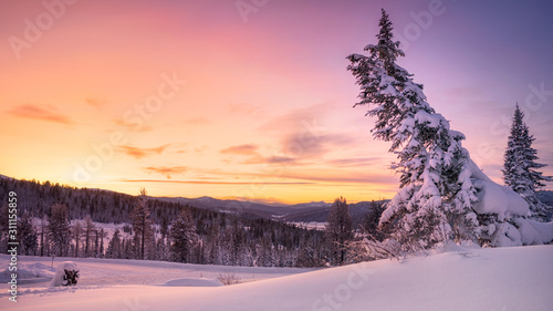 A beautiful sunset in the snowy mountains in the forest