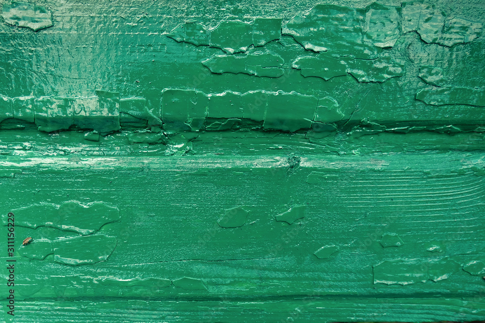 Obraz premium Wooden boards with traces of old paint are painted in a bright green color. Texture, wood, wall, it can be used as background.