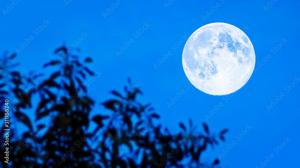 The moon is a cold, dry orb whose surface is studded with craters and strewn with rocks and dust.