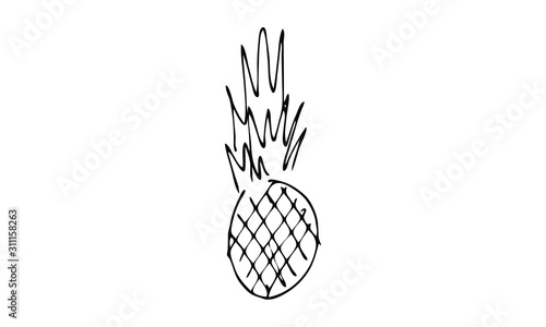 Hand-drawn silhouette of a pineapple . tropical summer juicy Doodle art. use as clip art, print on clothes, packaging, postcards or website