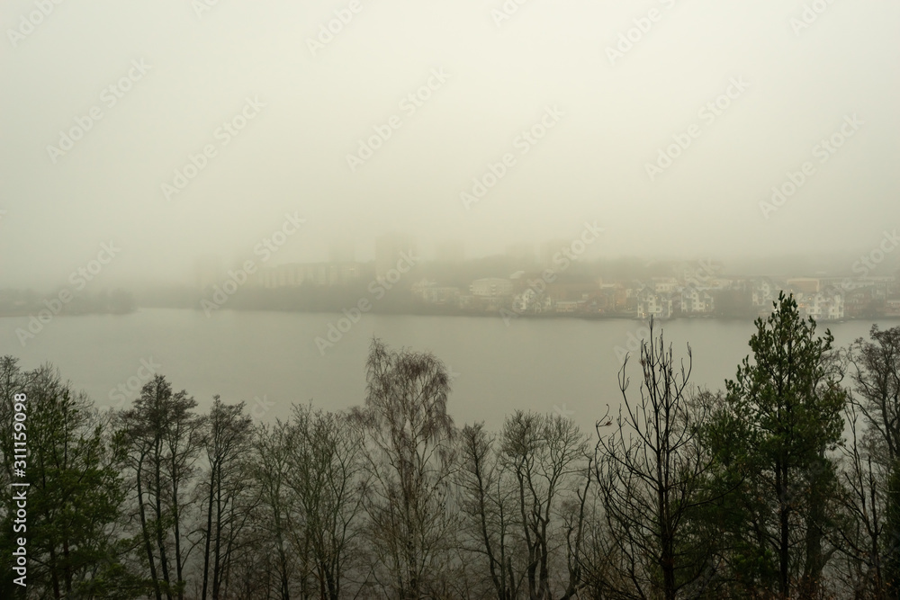 Foggy wet weather. Grey autumn or winter landscape. Sea bay, islands, trees, pines in smoky fog. Scandinavian seascape. Stone coast of Sweden. Baltic seaside. Monochrome dramatic mystical colors. 