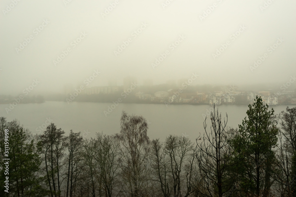 Obraz premium Foggy wet weather. Grey autumn or winter landscape. Sea bay, islands, trees, pines in smoky fog. Scandinavian seascape. Stone coast of Sweden. Baltic seaside. Monochrome dramatic mystical colors. 