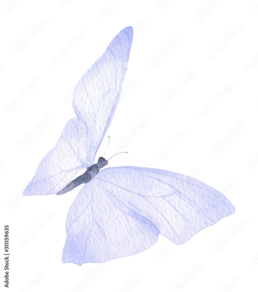 A light blue butterfly hand drawn in watercolor isolated on a white background. Watercolor illustration. Watercolor butterfly.