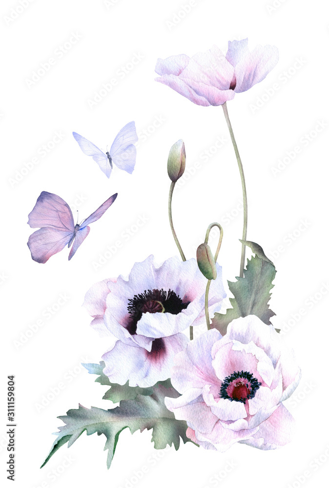 Obraz Hand drawn watercolor floral arrangement with picturesque poppies, buds, leaves and butterflies isolated on a white background. Floral botanical illustration for wedding invitations, cards, patterns.